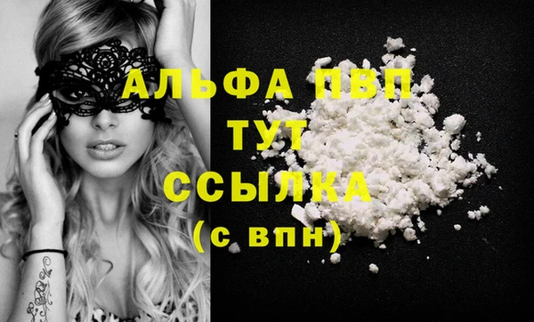 стаф Бородино