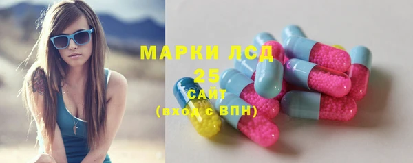 стаф Бородино