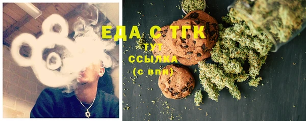 стаф Бородино