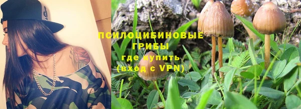 сатива Бугульма