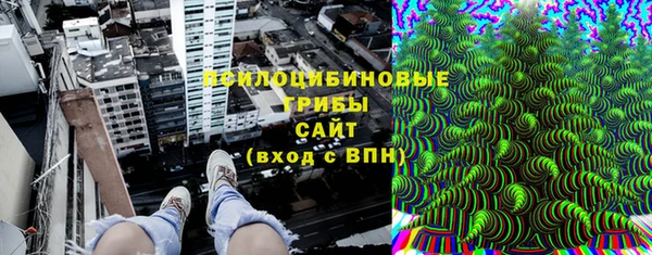 стаф Бородино