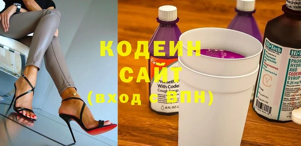 стаф Бородино