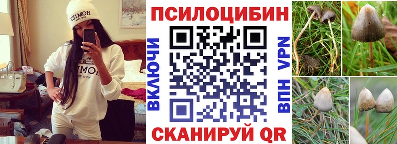 Галлюциногенные грибы GOLDEN TEACHER  omg рабочий сайт  Минеральные Воды 