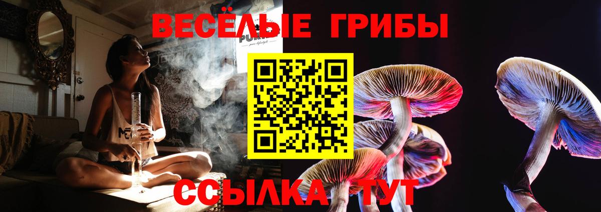 Псилоцибиновые грибы Psilocybe  Вход с VPN  Минеральные Воды  как найти наркотики  Галлюциногенные грибы Magic Shrooms 
